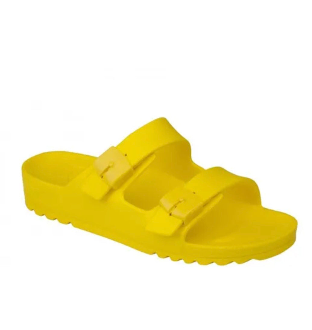 Scholl